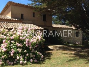 maison-a-vendre-grimaud-8-1-300x225 maison-a-vendre-grimaud-8 immobilier Saint Tropez Grimaud Ramatuelle Gassin maison-a-vendre-grimaud-8-1-300x225 maison-a-vendre-grimaud-8 immobilier Saint Tropez Grimaud Ramatuelle Gassin