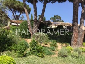 agence-immobiliere-grimaud-3-300x225 agence-immobiliere-grimaud-3 immobilier Saint Tropez Grimaud Ramatuelle Gassin agence-immobiliere-grimaud-3-300x225 agence-immobiliere-grimaud-3 immobilier Saint Tropez Grimaud Ramatuelle Gassin