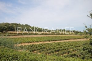 Propriete-de-prestige-ramatuelle-14-300x200 Propriete-de-prestige-ramatuelle-14 immobilier Saint Tropez Grimaud Ramatuelle Gassin Propriete-de-prestige-ramatuelle-14-300x200 Propriete-de-prestige-ramatuelle-14 immobilier Saint Tropez Grimaud Ramatuelle Gassin